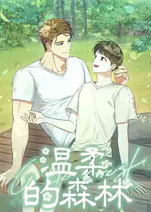 温柔的森林 温柔的森林