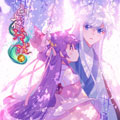 白夜玲珑 白夜玲珑